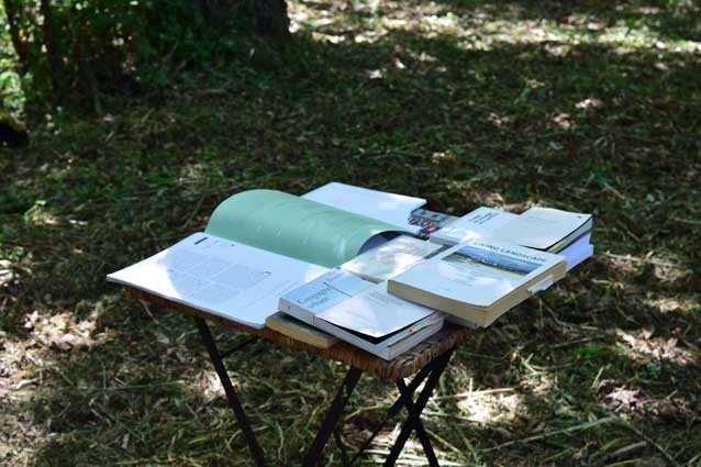 Virginia L&amp;oacute;pez, Habitantes Paisajistas 2017. #bibliograf&amp;iacute;a en el bosque http://virginialopezvl.com/?section=habitantes-paisajistas