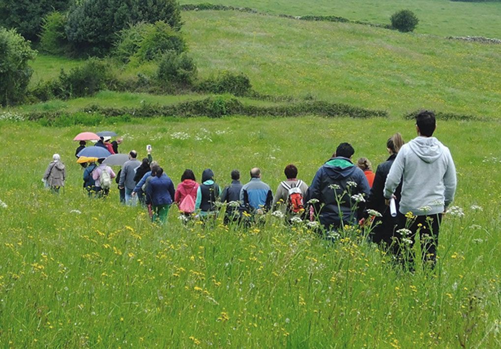 Habitantes Paisajistas&amp;nbsp; 2016 #AGUA. Paseo a Les muries de Belo&amp;ntilde;o. #arqueolog&amp;iacute;a.http://pacaproyectosartisticos.com/living-landscape/habitantes-paisajistas/2016-agua/